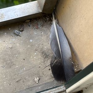 小色妞一区二区三区
