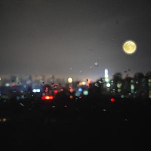 小色妞一区二区三区
