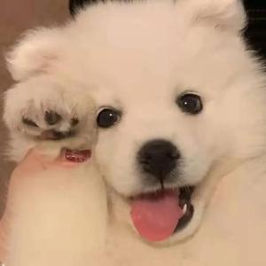 小色妞一区二区三区
