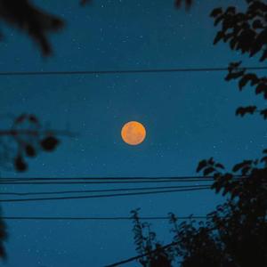 小色妞一区二区三区
